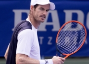 开云体育在线-法国网球队横扫英国网球队，穆雷绝境逆转的简单介绍