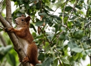 开云体育中国-西亚卡姆独舞费城之夜，76人斩落热火背后的个人英雄主义与战术博弈