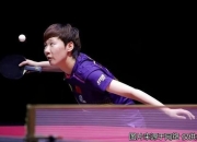 开云体育登录-瑞典队逆转中国队，奥恰洛夫统治全场的简单介绍