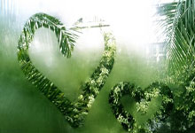 开云体育平台APP-奥运周期的关键战，澳大利亚血拼切尔西，一场定义未来的焦点对决