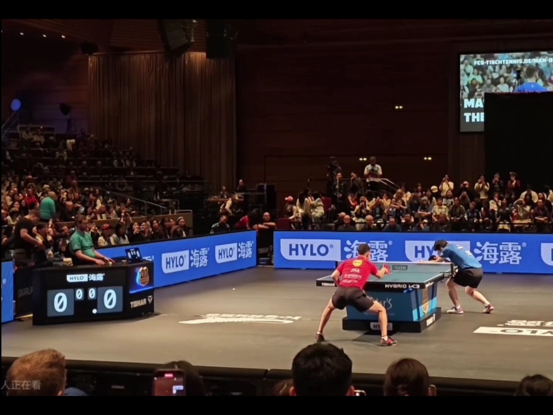 包含波兰乒乓球队力克德国乒乓球队,樊振东统治全场的词条 包含波兰乒乓球队力克德国乒乓球队,樊振东统治全场的词条