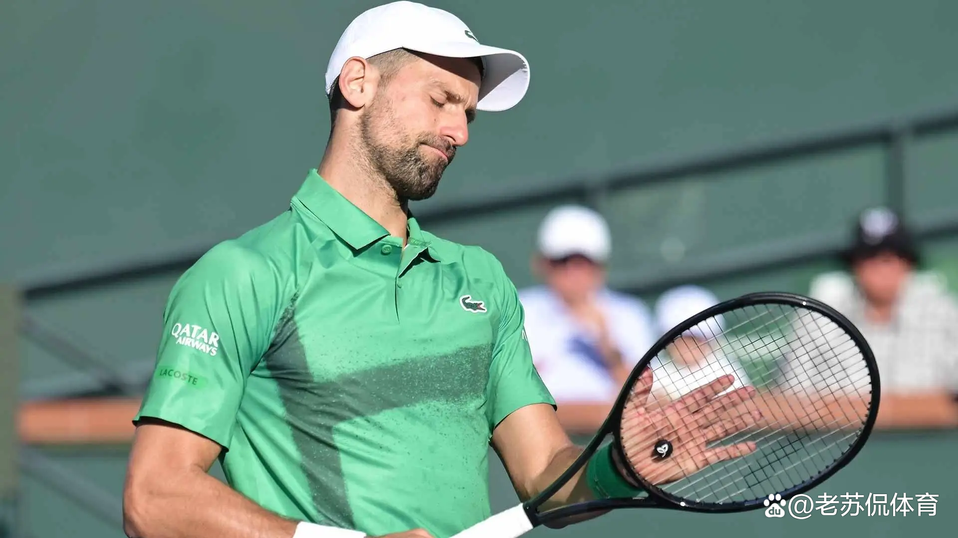 美网完胜蒙特卡洛大师赛，德约科维奇刷新纪录的简单介绍