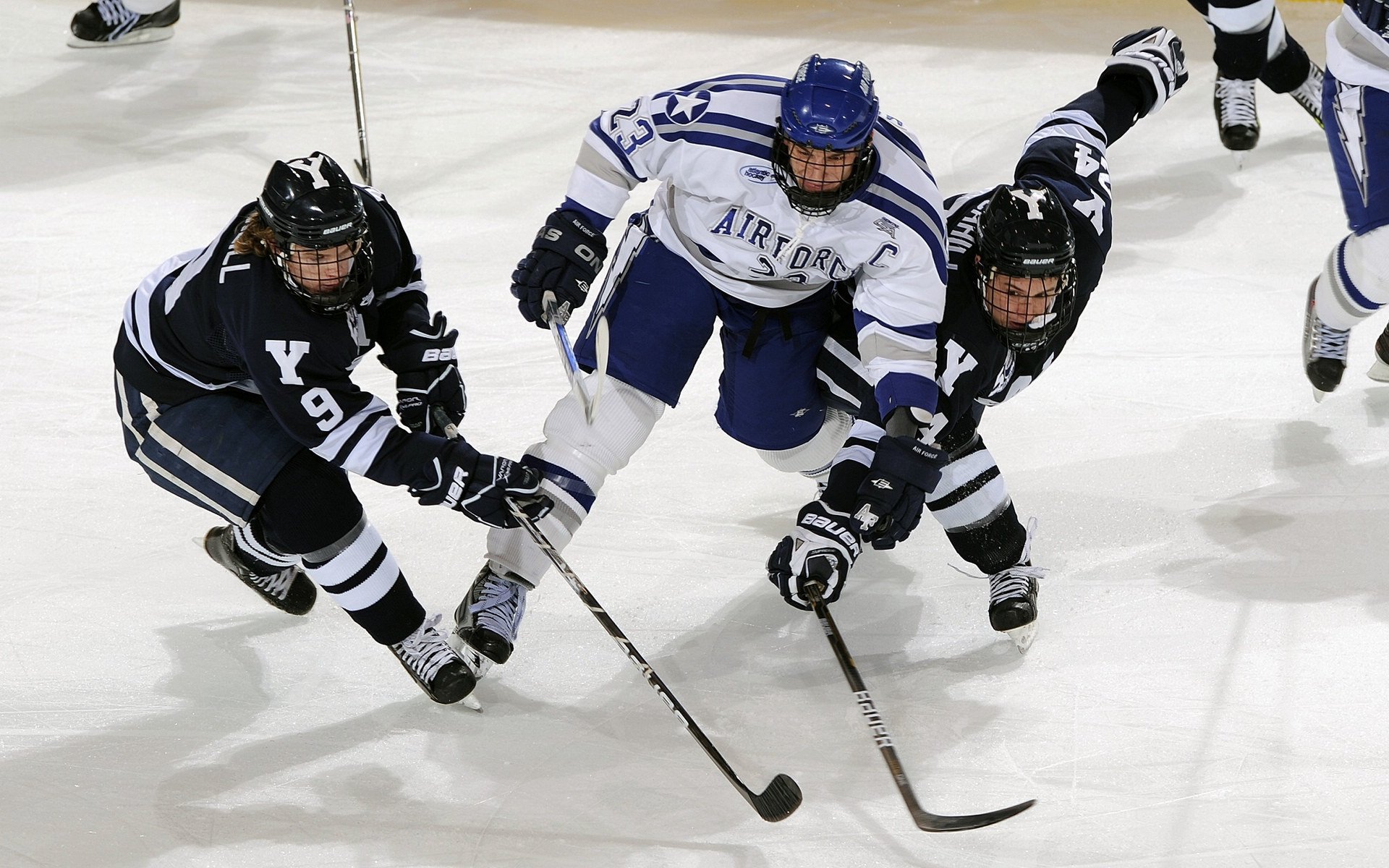 赛道与球场，速度与韧性的双重奏鸣